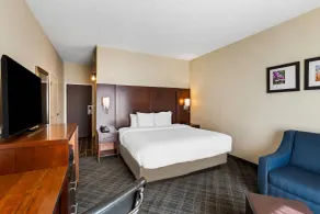 Comfort Inn Roswell-Dunwoody - Chambre