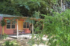 Howler Monkey Resort - Ausblick vom Zimmer