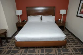 Hilton Garden Inn Dayton South-Austin Landing - Chambre