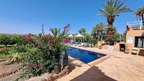 Les Palmiers d'anis - Pool