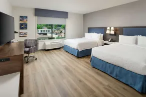Hampton Inn Blue Ridge - Chambre