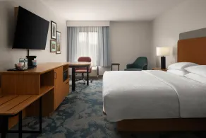 Hampton Inn by Hilton Hopewell Fort Lee - Chambre