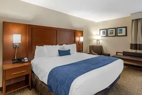 Comfort Inn Nashville - Opryland Area - Chambre