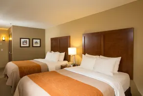 Comfort Inn & Suites Spokane Valley Central - Chambre
