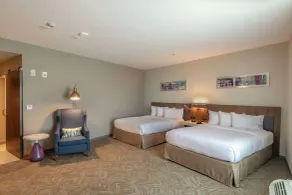 Hilton Garden Inn Dallas at Hurst Conference Center - Chambre
