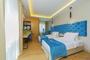 History Hotel - Room