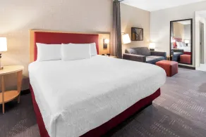 Home2 Suites by Hilton Dallas Grand Prairie - Chambre