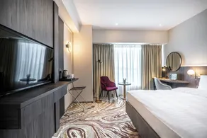 Ramada by Wyndham Bucharest Otopeni Airport - Room
