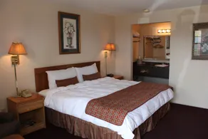 Regency Inn Eureka Springs - Vue de la chambre