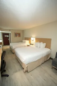 Wyndham Garden Duluth - Chambre
