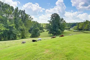 Hot Tub, Goats, 10 Mins to Sheriff's Jeep Fest! - Innvendig