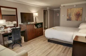 Crowne Plaza Knoxville Downtown University by IHG - Zimmer