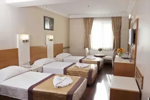 Baron Hotel & Spa - Room