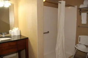 Comfort Inn & Suites Baltimore Inner Harbor - Salle de bain