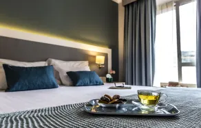 Grande Hotel das Caldas da Felgueira - Vue de la chambre
