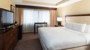 DoubleTree Suites by Hilton Hotel Cincinnati - Blue Ash - Vue de la chambre
