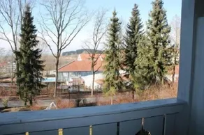 Apparthotel Jagdhof - View from room