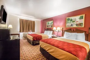 Econo Lodge Dexter - Chambre