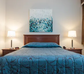 Adam's Airport Inn - Room