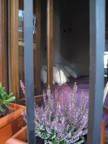 Casa Rural El Zumacal - Zimmer