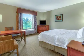 Hampton Inn Okeechobee - Lake Okeechobee - Chambre