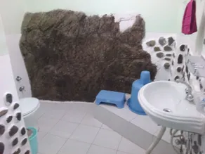 Jamwal Villa Homestay Himachal Pradesh - Bathroom