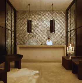 Habita Monterrey, a Member of Design Hotels - Reception