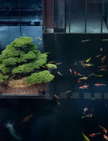 Park Hyatt Suzhou - Ausblick vom Zimmer