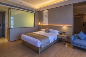 Ramada Plaza by Wyndham Changsha Wangcheng - Habitación