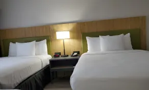 Country Inn & Suites by Radisson, Buford at Mall of Georgia, GA - Chambre