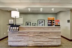 Hampton Inn & Suites Detroit/Troy - Réception