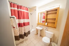 Buffalo Lodge 8358 by SummitCove Lodging - Salle de bain