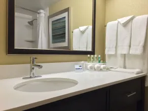 Holiday Inn Express Chicago NW - Arlington Heights by IHG - Salle de bain