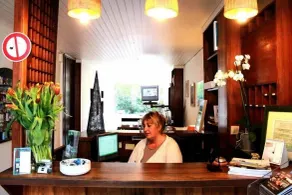 Hôtel Le Richiardi, Carqueiranne - Réception