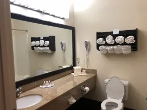 Comfort Suites Stevensville - St Joseph - Bathroom