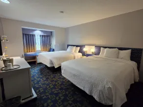 Microtel Inn & Suites by Wyndham Hagerstown by I-81 - Værelse