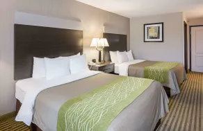 Comfort Inn Camden - Chambre