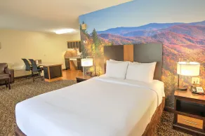 LeConte Hotel & Convention Center, an Ascend Collection Hotel - Quarto