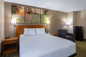 Days Inn & Suites by Wyndham Madison - Chambre
