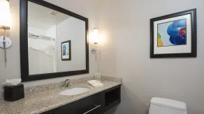 Holiday Inn Indianapolis Airport by IHG - Værelse