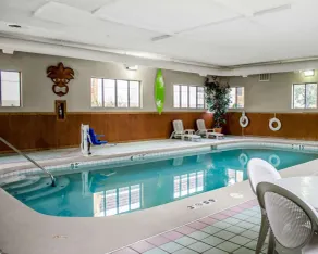 Quality Inn & Suites Medina - Akron West - Piscine