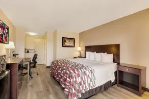 Red Roof Inn Gulfport - Biloxi Airport - Zimmer