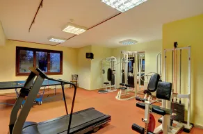 Naiades Hotel Resort & Conference - Treningsfasiliteter