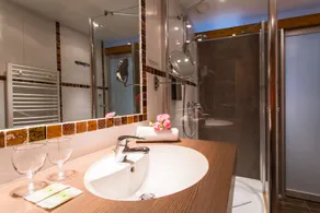 Logis Hôtel Les Peupliers - Badezimmer