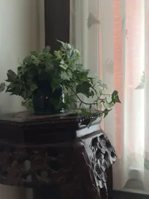 Rideau Inn - Vue de la chambre