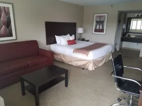 Infinity Inn & Suites - Rum