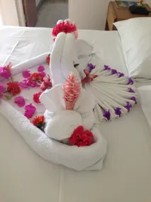 Palm View Guesthouse and Conference Centre - Room