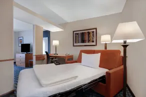 Fairfield Inn & Suites by Marriott Detroit Metro Airport Romulus - Chambre