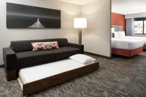 SpringHill Suites by Marriott Dallas Downtown / West End - Chambre