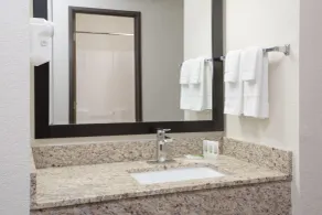 AmericInn by Wyndham Mount Pleasant - Badezimmer